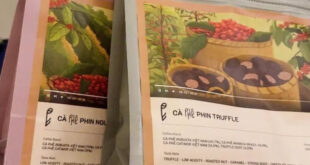 ca ngon rang xay phe la gia bao nhieu