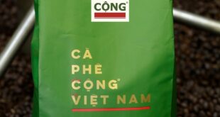 cafe bot rang xay cong ca phe bao nhieu 1 goi