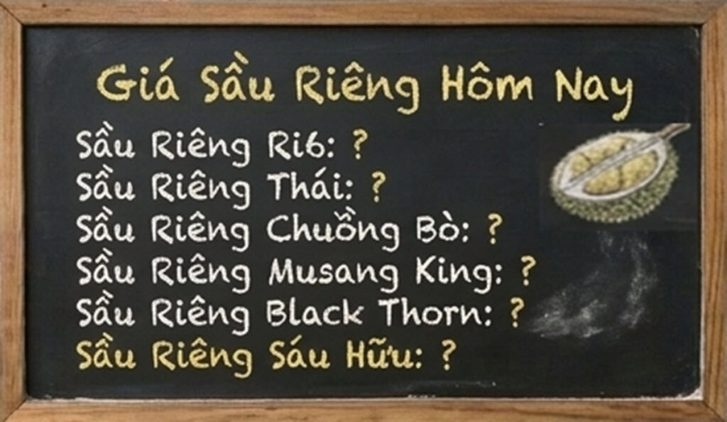 bang gia sau rieng hom nay bao nhieu