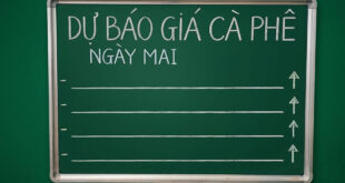 du bao gia ca phe ngay mai